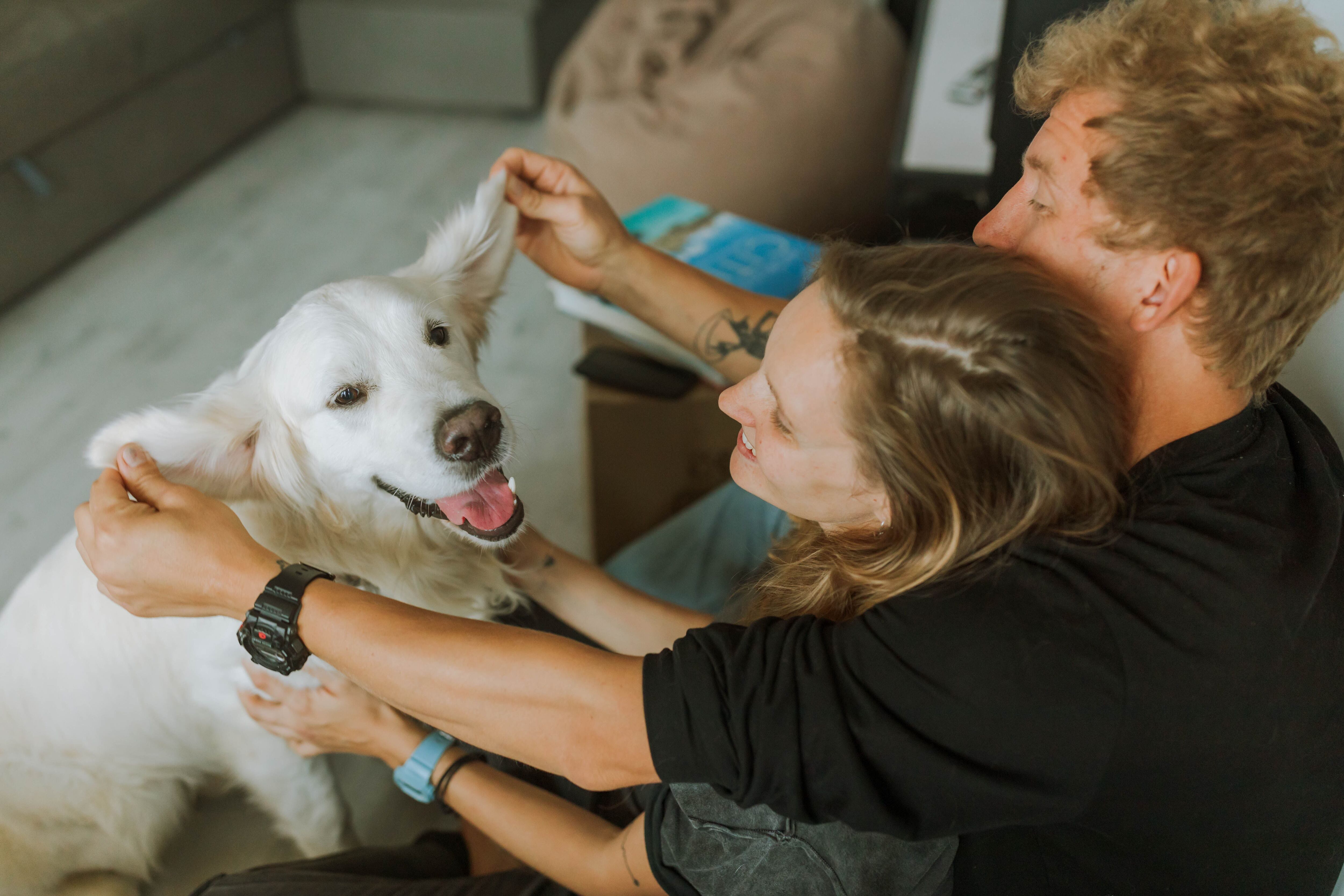 La Nación / ¿A quién prefieren los perros, hombres o mujeres?