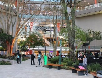 El Shopping Mariscal construyó 12.000 metros cuadrados de más, según el intendente Óscar Rodríguez.