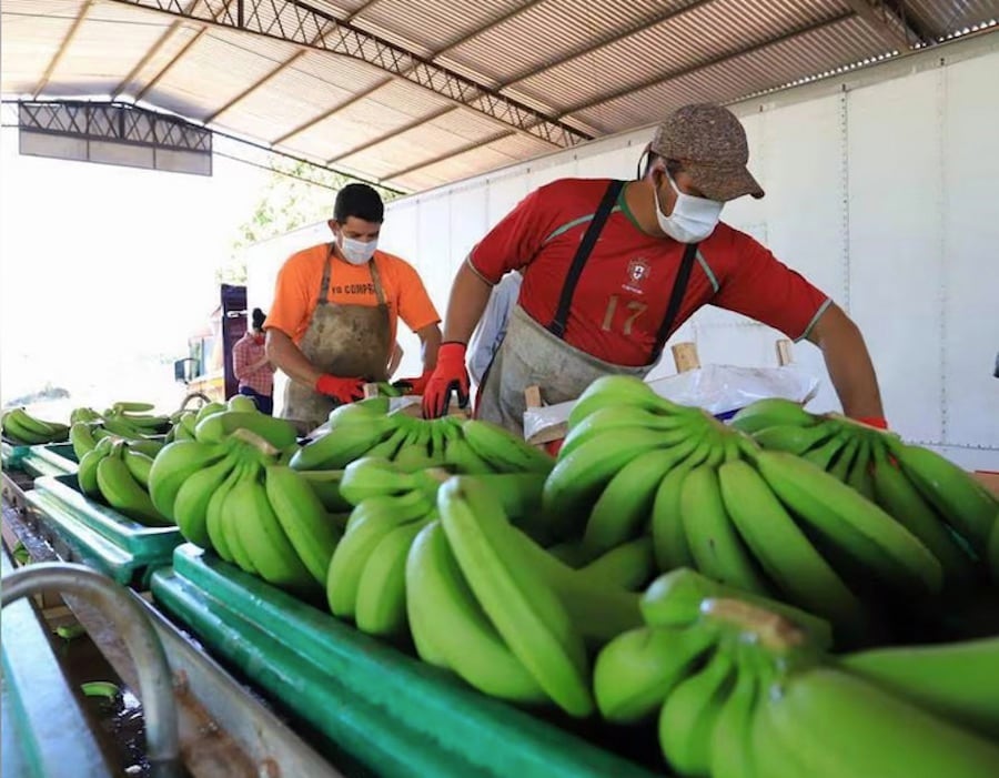 Mercado caaguazu-paraguay