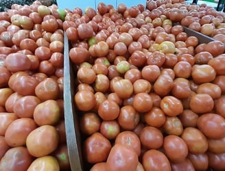 Los tomates mantienen sus precios elevados en los supermercados. Foto: CMG/NM