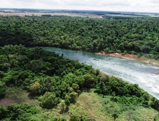 Se renueva la declaración de Área Silvestre Protegida de la Reserva Natural Yguazú. Foto: Gentileza.