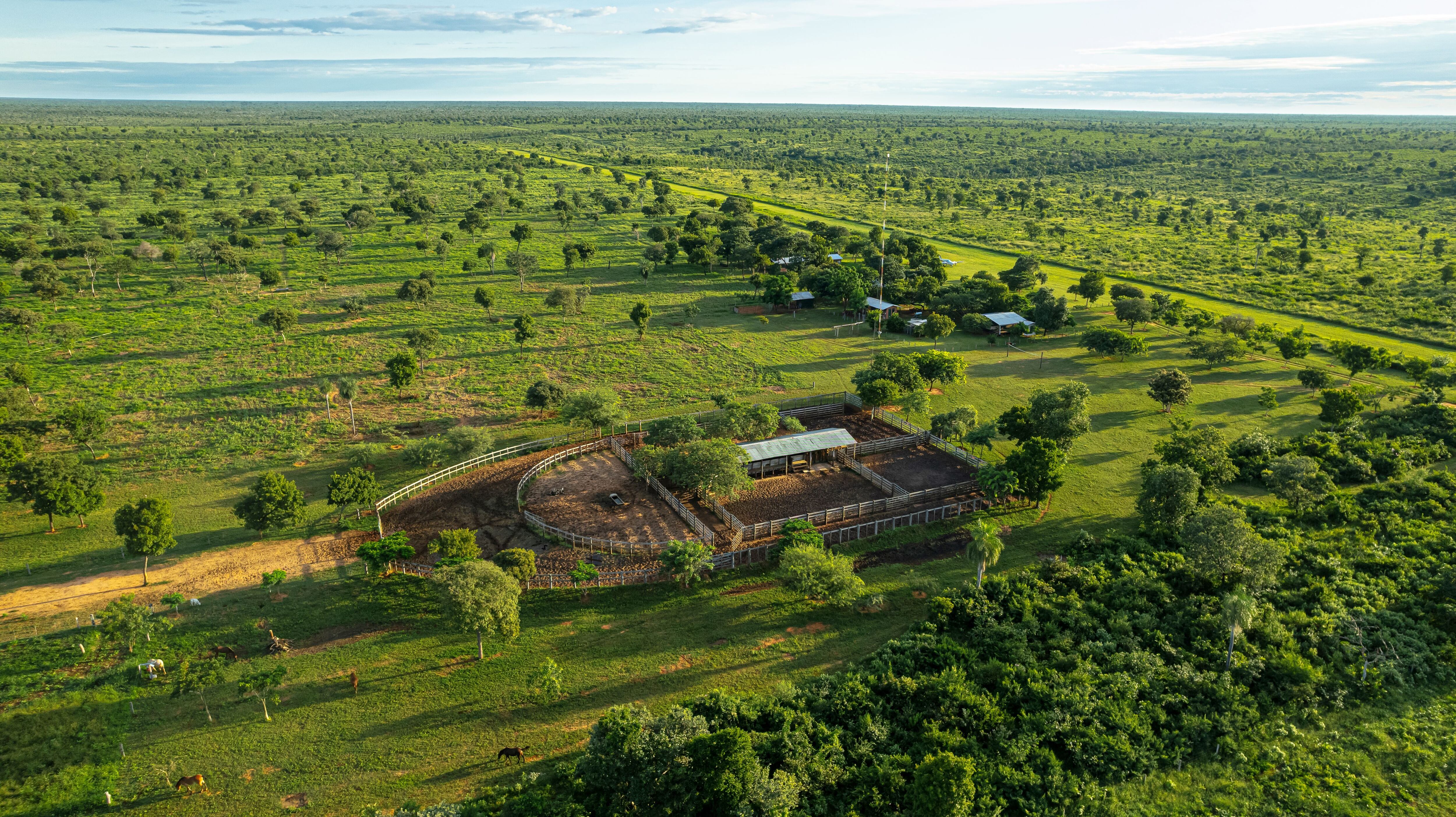 La Naci n Destacan venta de estancia de 25 mil hect reas en el