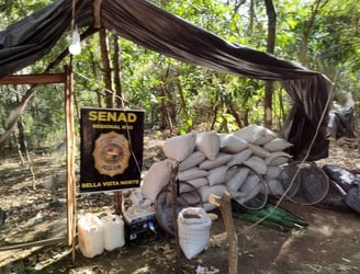Uno de los campamentos descubiertos. Foto: Gentileza, Senad.