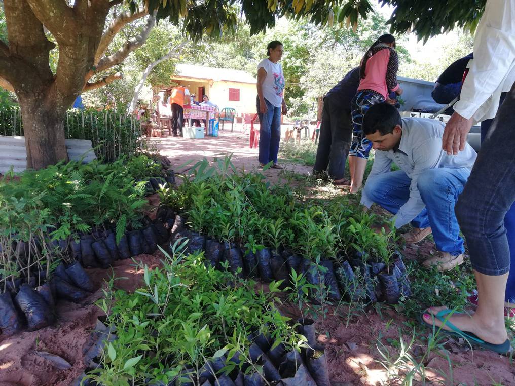 La Nación / Cortina forestal: plantan 1.500 plantines para proteger a la  comunidad Itá Cuatiá