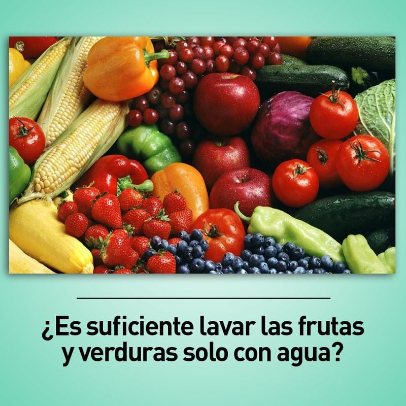 Inocuidad de los alimentos, un asunto de todos” | Revista FOCO