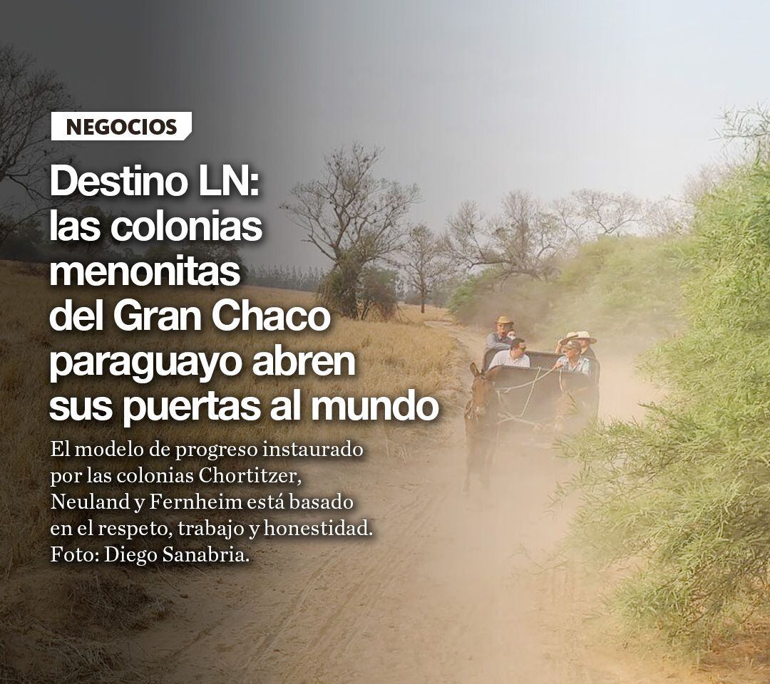 La Nación / Destino LN: las colonias menonitas del Gran Chaco paraguayo  abren sus puertas al mundo