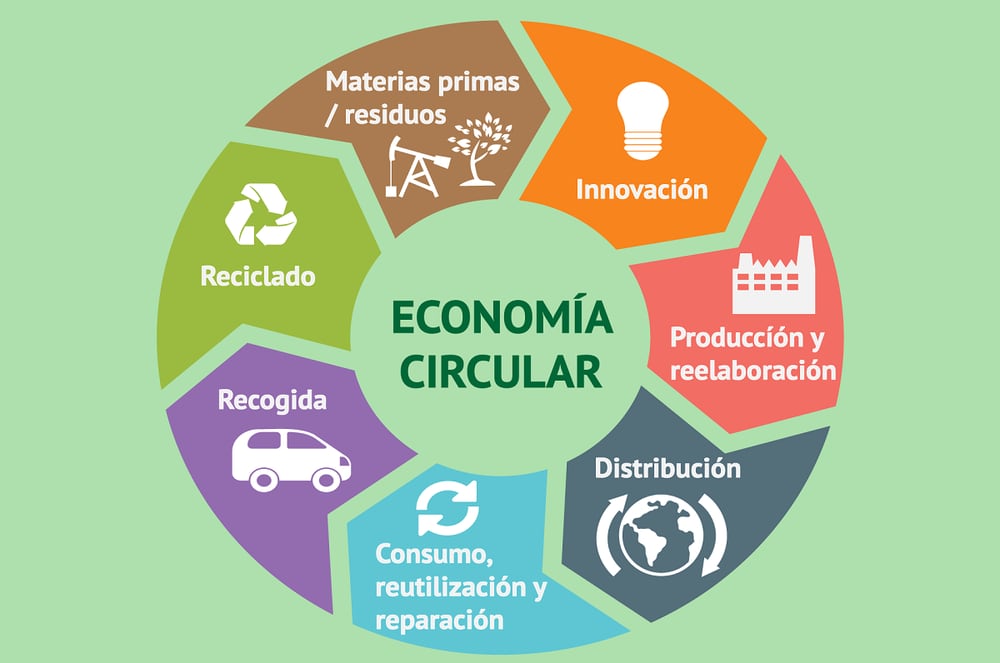 Economía Circular Como Oportunidad De Sostenibilidad Corporativa Revista Foco 7322