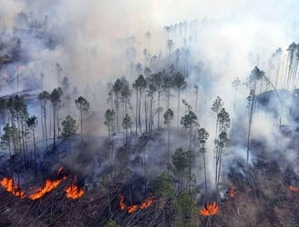 Se registran incendios forestales en varios puntos del país. Foto: Archivo.