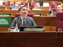 Senador Eduardo Nakayama. Foto: Gentileza.