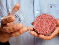 Avanzan en la prohibición para producir carne cultivada en laboratorios.