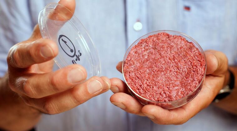 Avanzan en la prohibición para producir carne cultivada en laboratorios