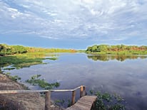 En el Pantanal brasileño se verifica crisis hídrica y eso tendrá fuerte impacto en Paraguay.