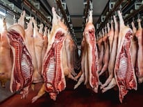 República de China (Taiwán) se convirtió en uno de los princi­pales compradores de carne porcina paraguaya.FOTO:Gentileza