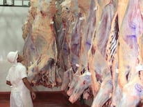 La carne paraguaya llgará a Canadá. Foto: archivo
