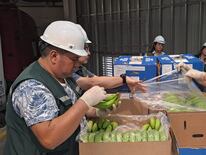 El envío de la primera carga de 23 toneladas de banana se realizó el pasado 2 de abril desde San Pedro. Foto: Gentileza