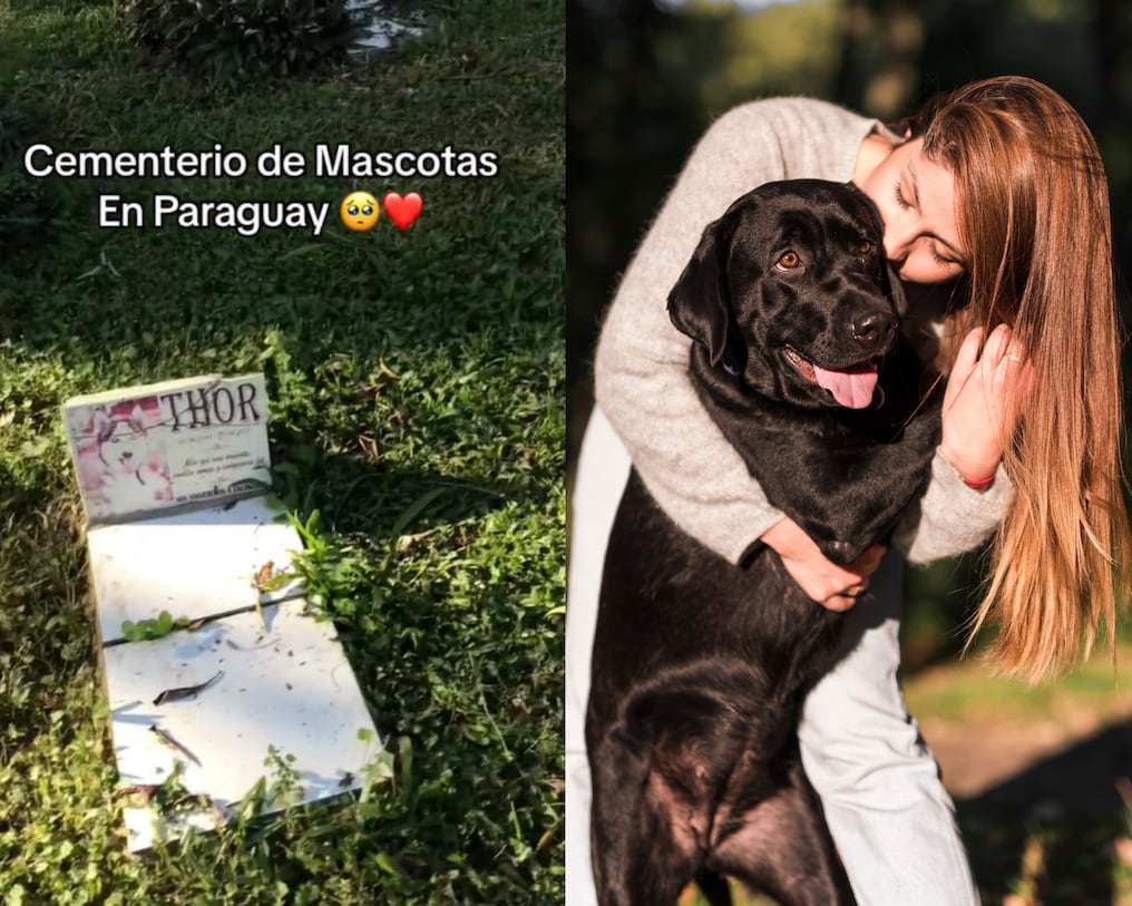 La Nación / Cementerio de mascotas enterneció a internautas