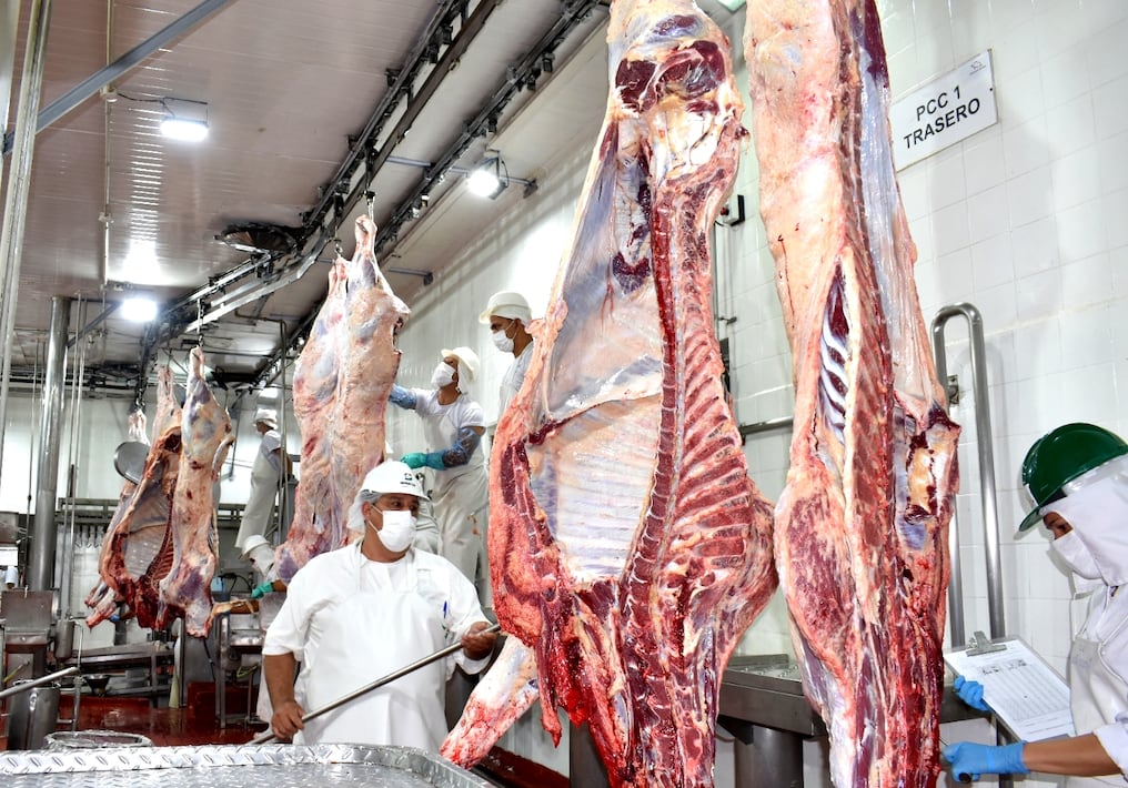 La Nación / Preocupa a productores situación “insostenible” de precios de  la carne