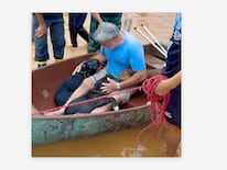 El hombre tras rescatar a sus cuatro perros en Porto Alegre, Brasil