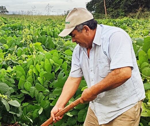 Dionicio Montanía, un agricultor de la zona de Cruce Liberación, San Pedro, conocido como “Checho”, que aprendió a aplicar mejores prácticas agrícolas. Foto: Gentileza