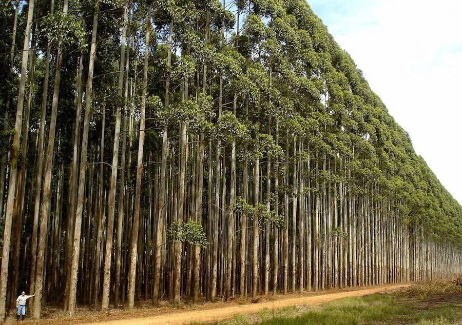 Paraguay debe fortalecer su competitividad industrial, de modo a poder generar un impacto positivo y duradero para la economía nacional. Foto: Archivo