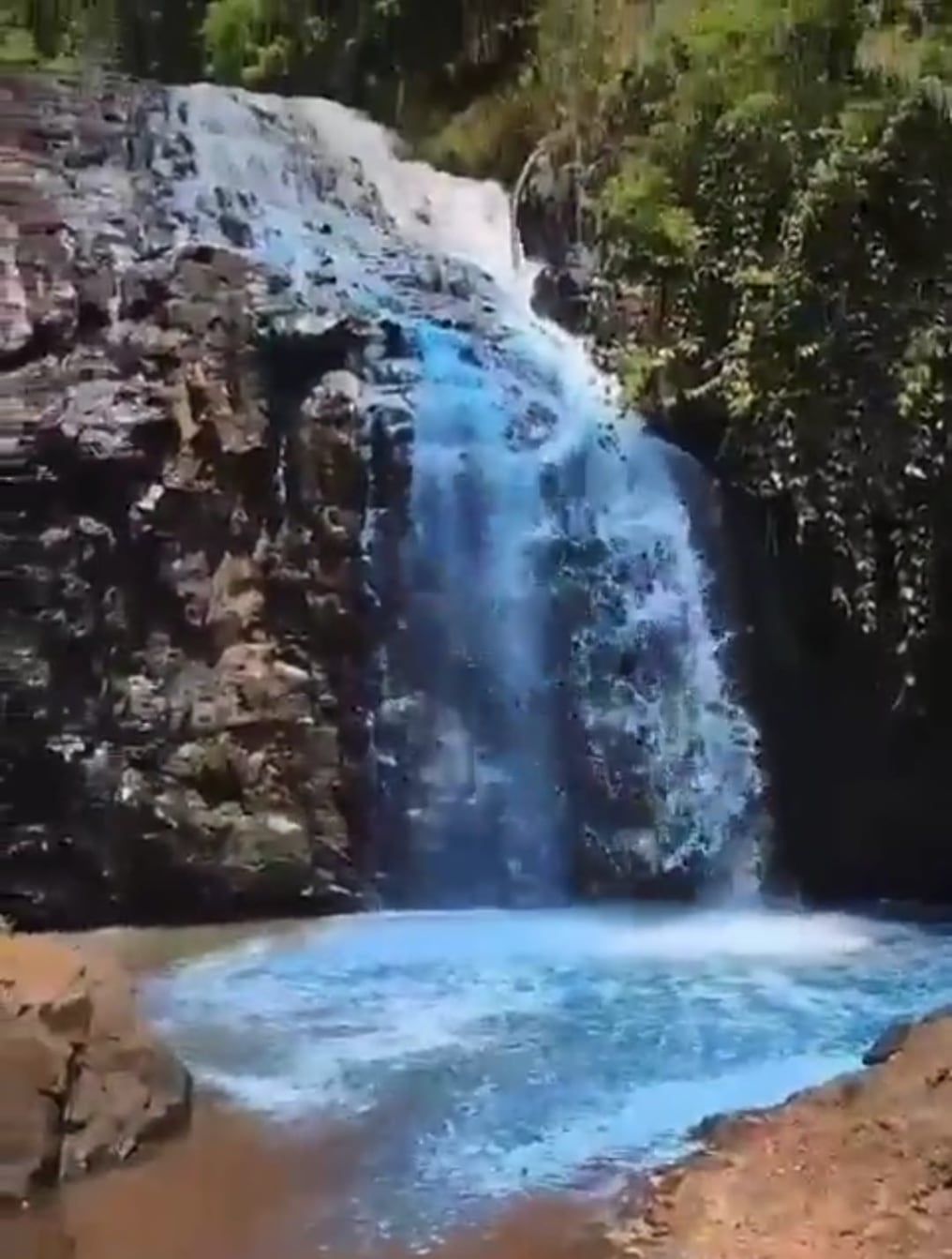 La Nación / ¡Indignante!: tiñeron las aguas de una cascada natural para  descubrir el sexo de su bebé