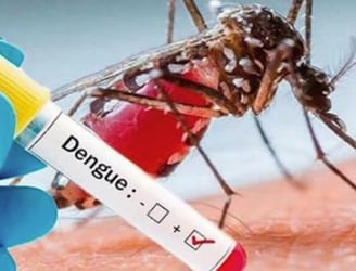 En las últimas semanas, Salud reporto más de 3.300 casos de dengue
a nivel país.FOTO: ARCHIVO